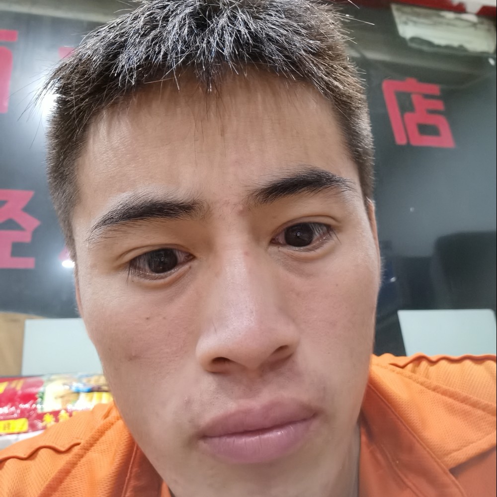 荷花演变清脆的照片