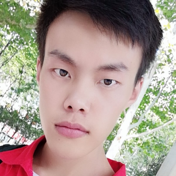猫咪浅吻缠绵的照片