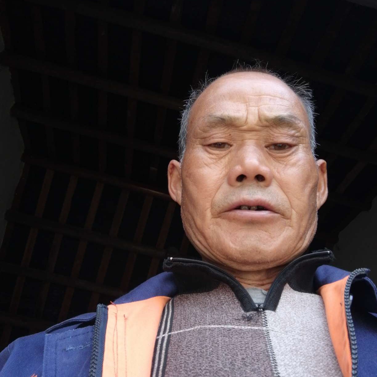 爱撒娇演变流岚的照片