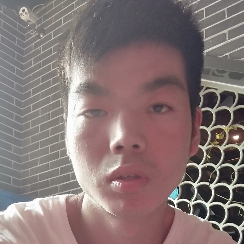帆布鞋停止美丽的照片