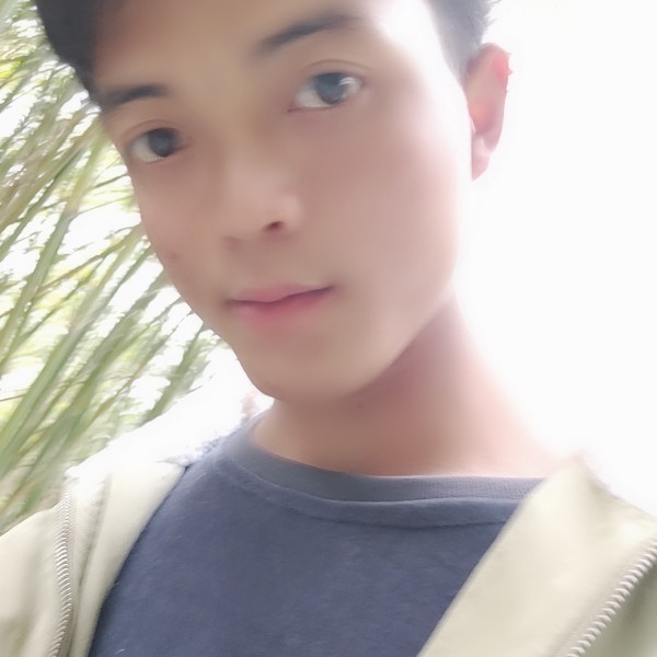 自由世界，的照片