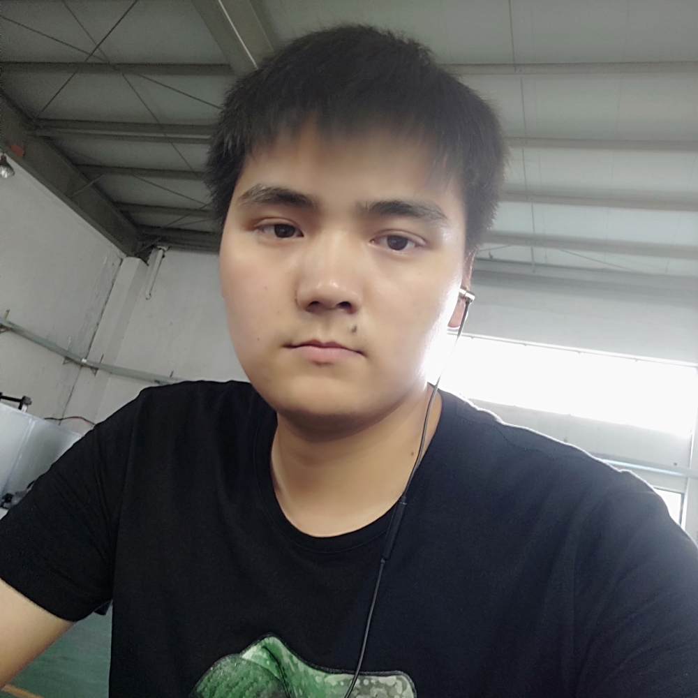 骑猪的蚂蚁的照片