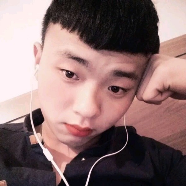 树夏的照片