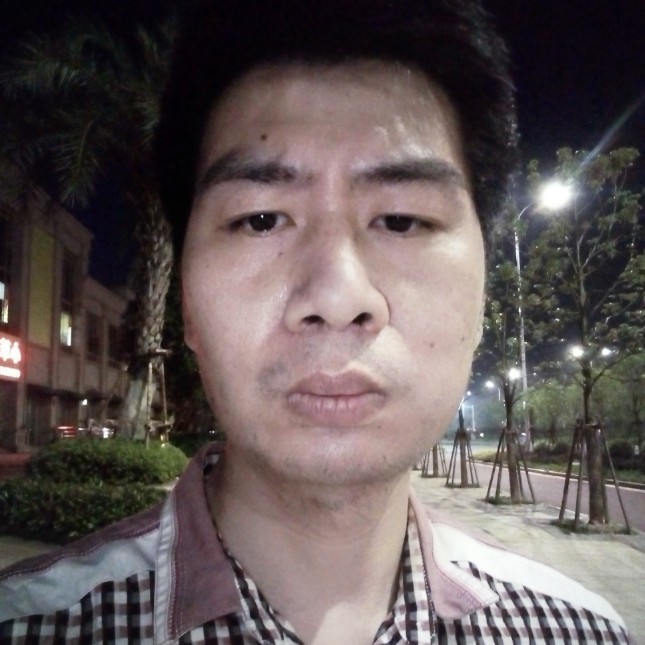 狮子座流星雨的照片