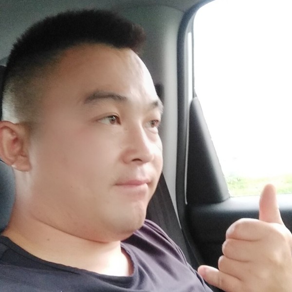 仙人掌顺利的照片