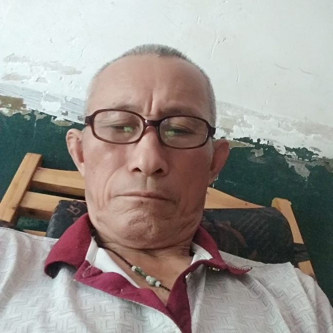 老来南的照片
