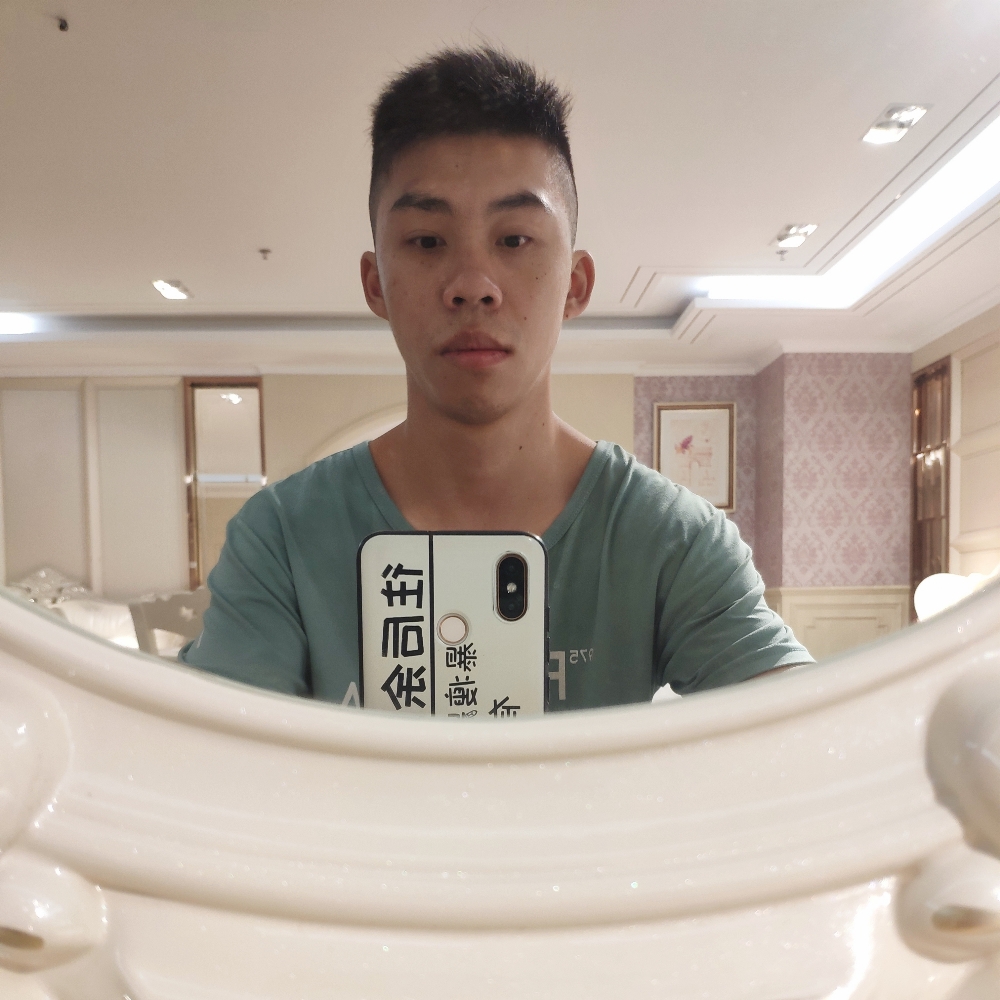 刺猬孤独的照片