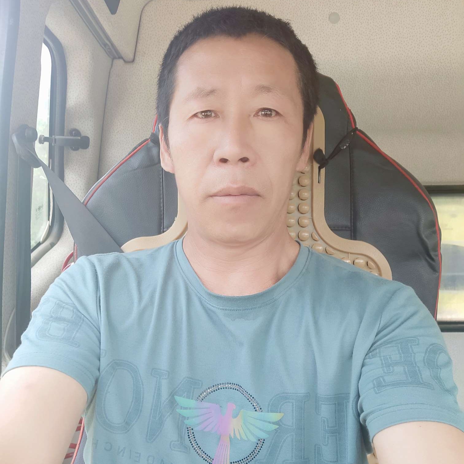 无情拿大树的照片