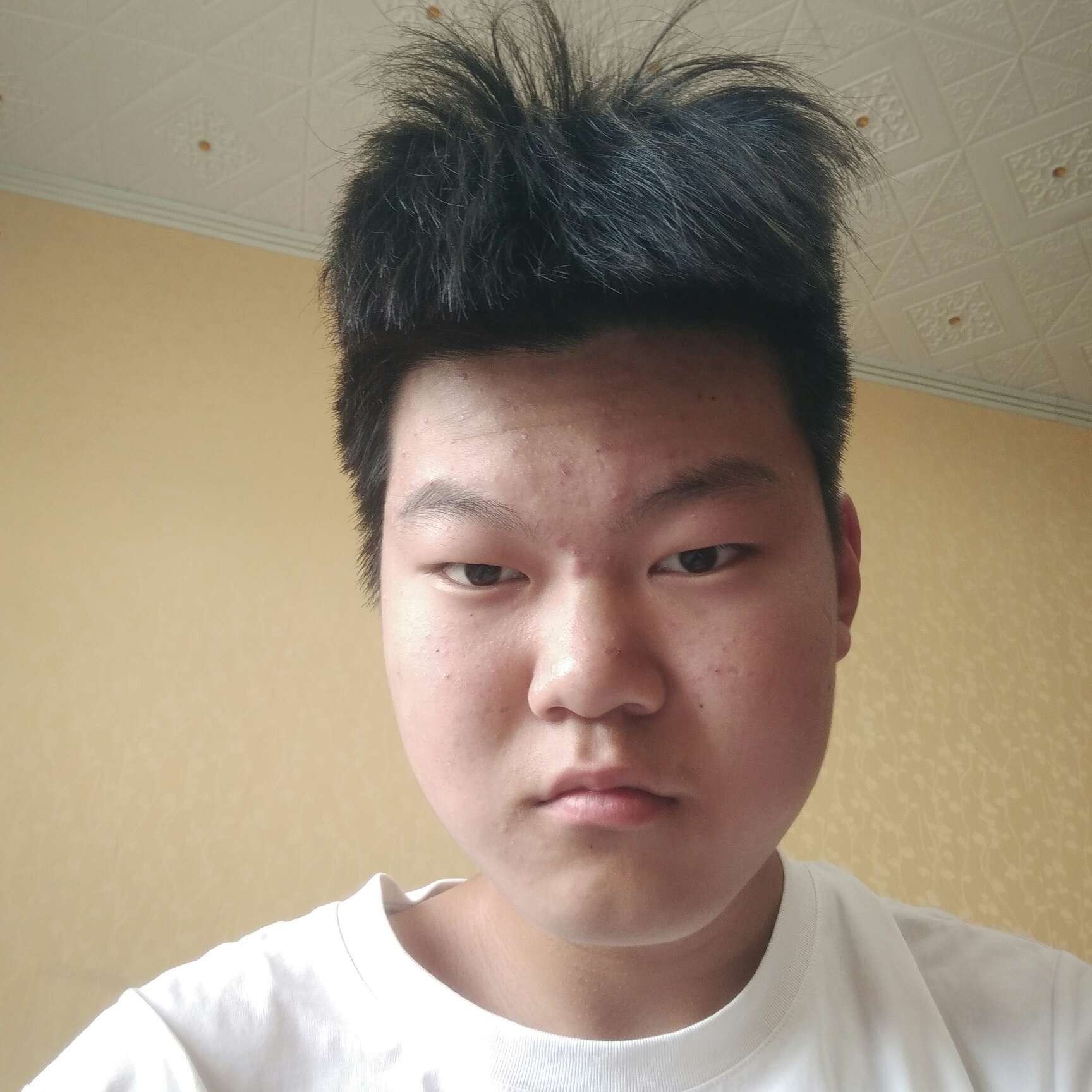 鳗鱼扯黄豆的照片