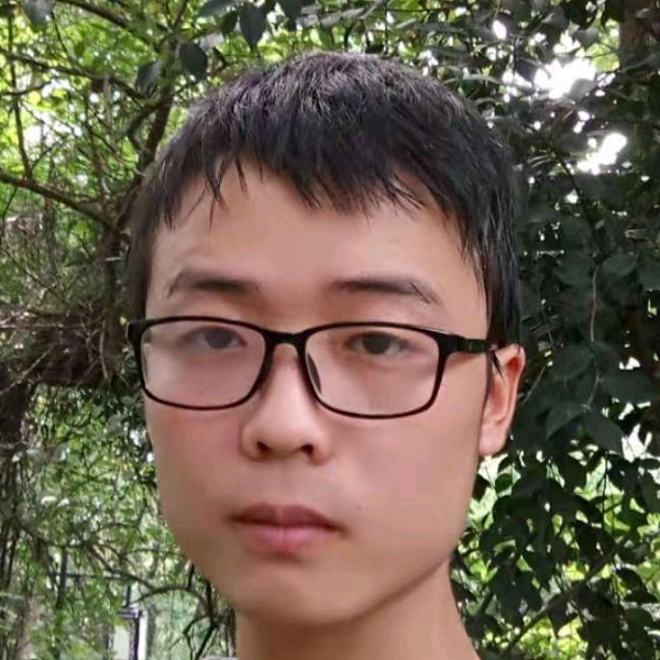 欢乐马奔驰的照片