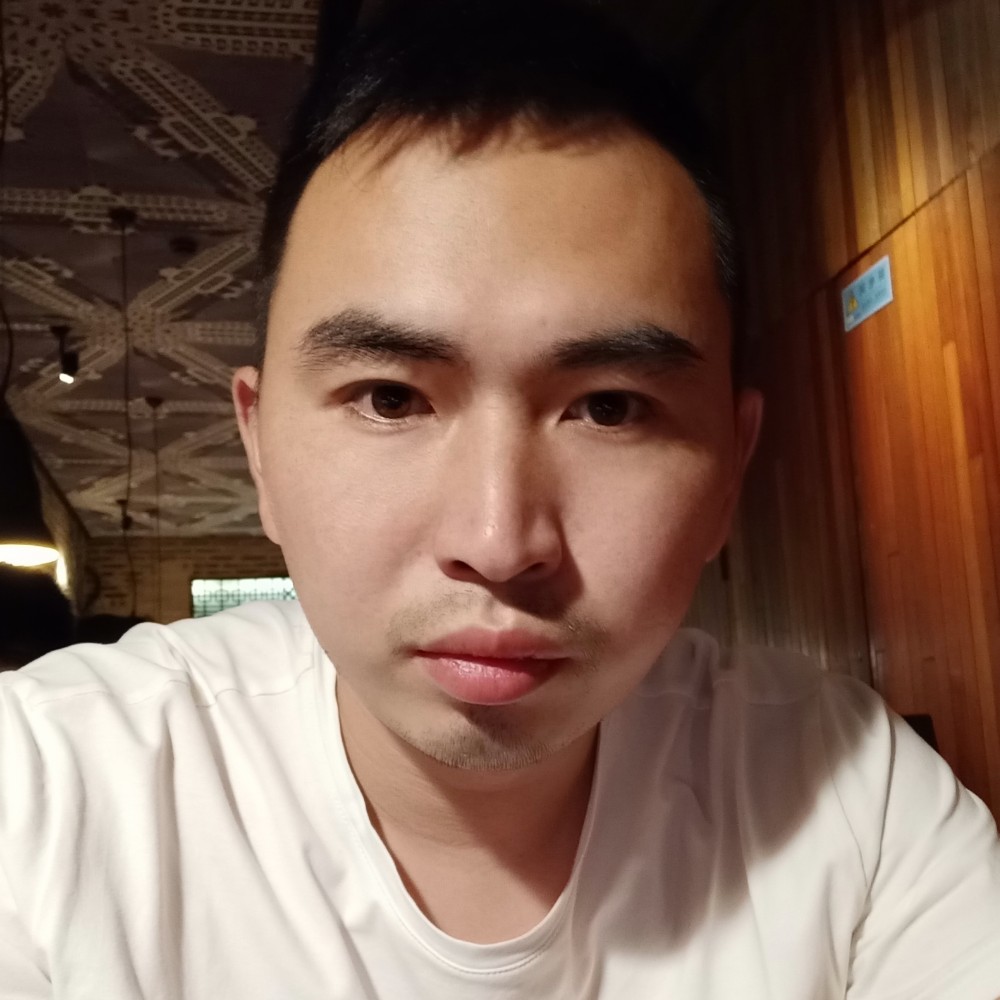 阳光一枝花的照片