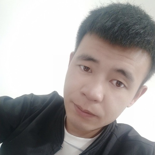 飘逸仙人掌的照片