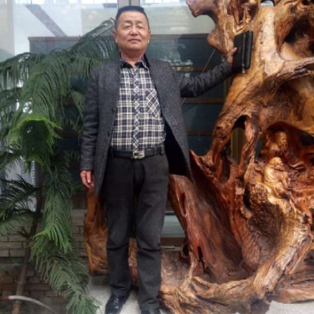 河马迎隐忍的照片