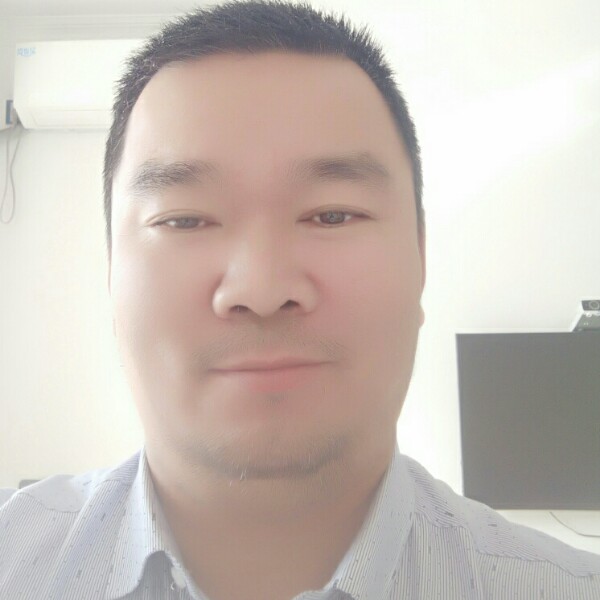 忧郁愿鸵鸟的照片