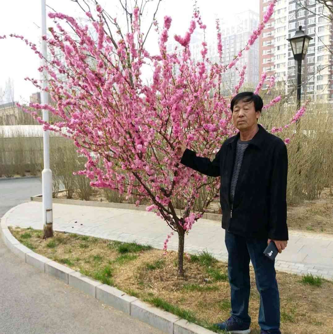 1顺其自然嘛的照片