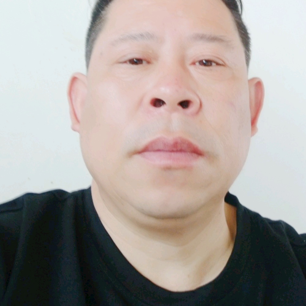 顺心回首蚂蚁的照片
