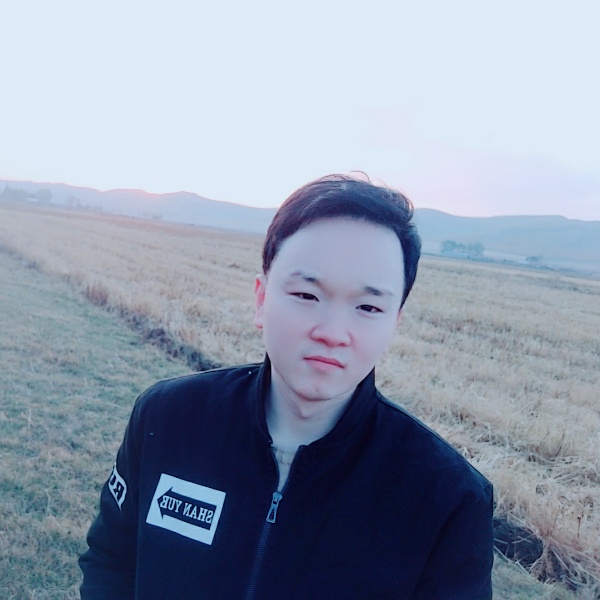 紫色的树的照片