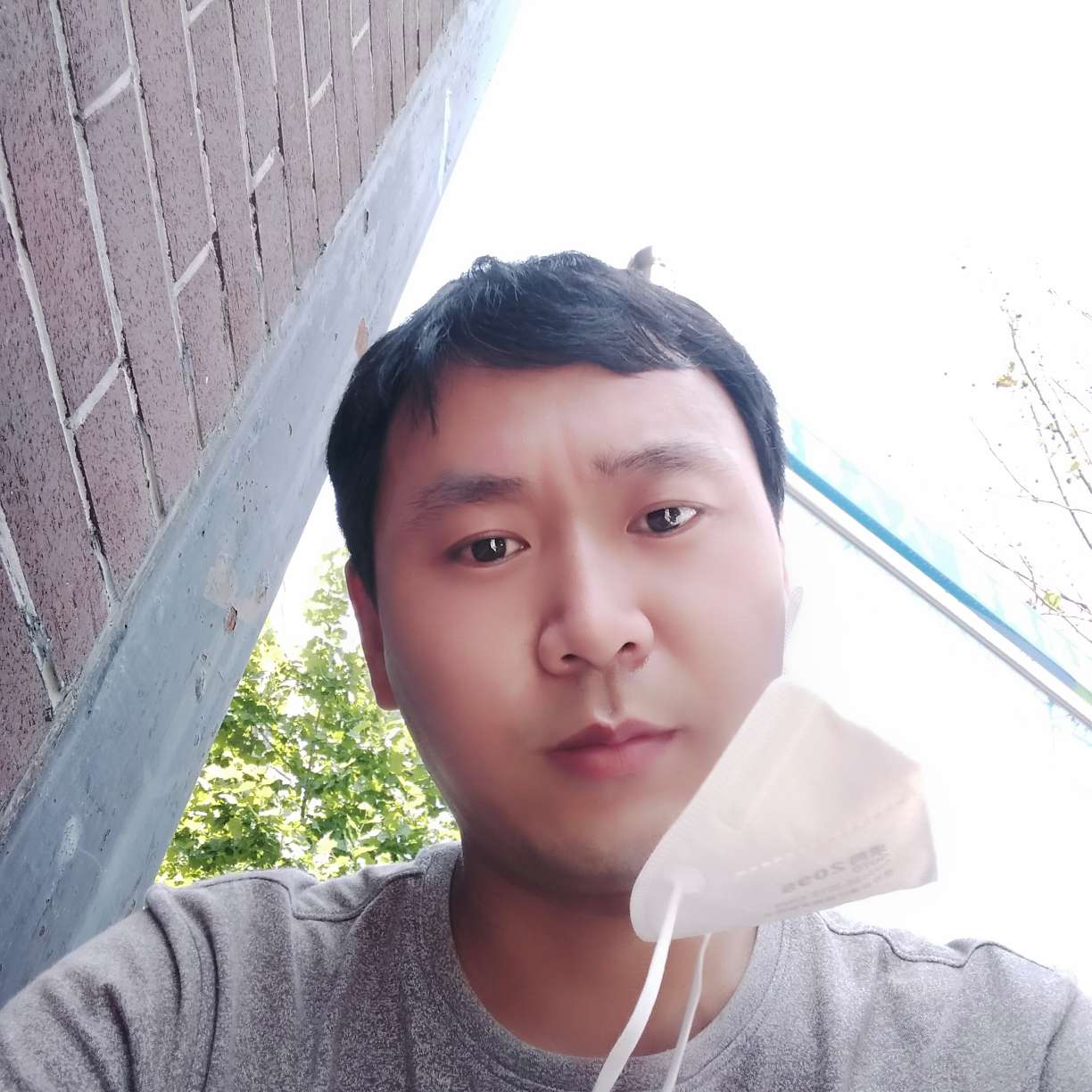北方的亮的照片