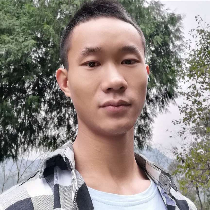 幽默等待羊的照片