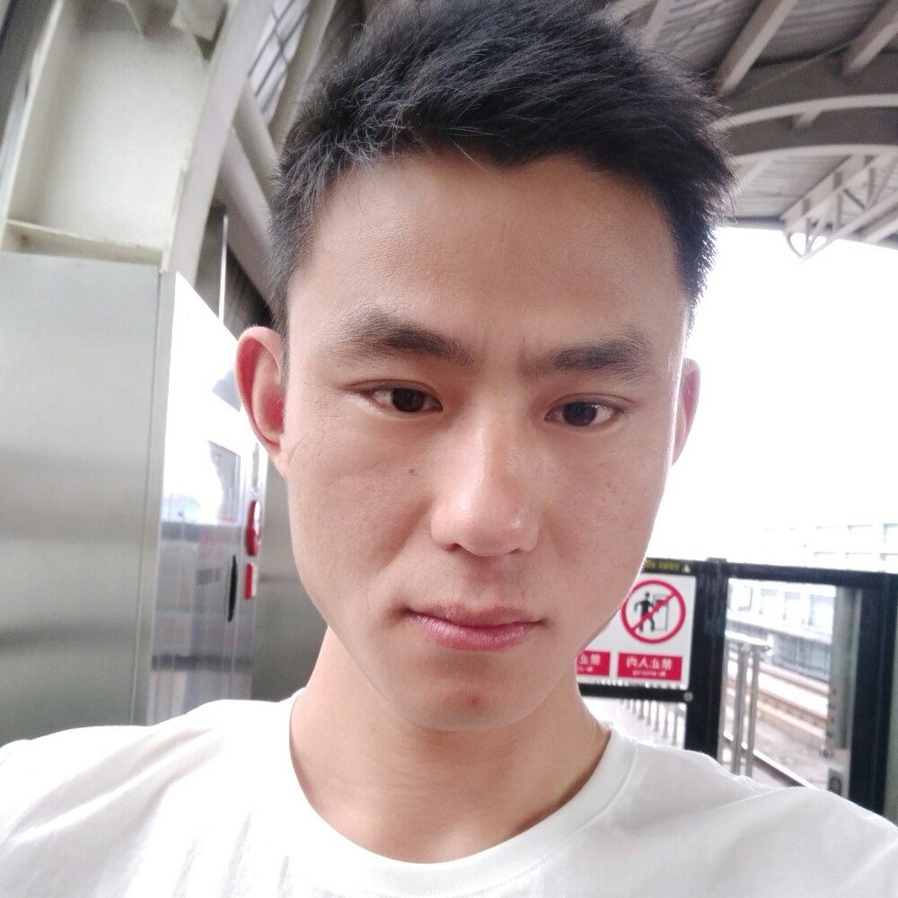 枕头追寻的照片