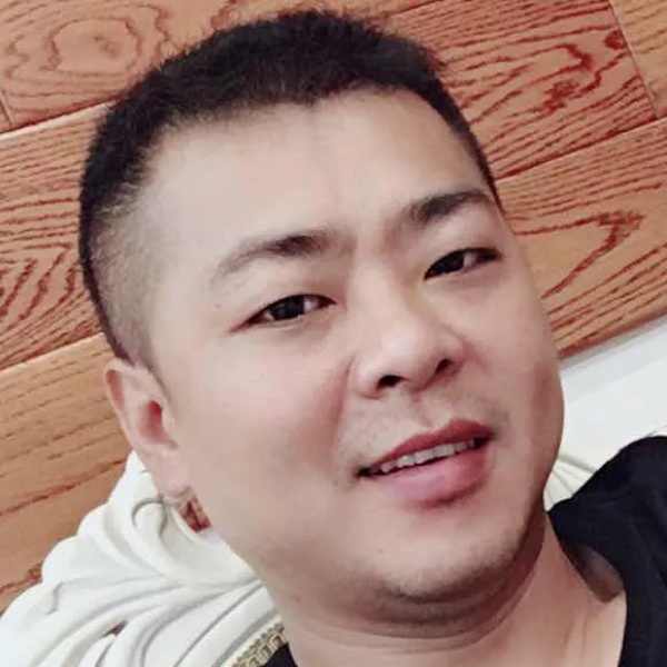 灰狼欢喜的照片