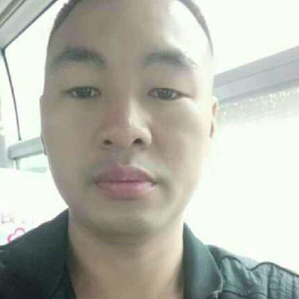 合适小海豚的照片