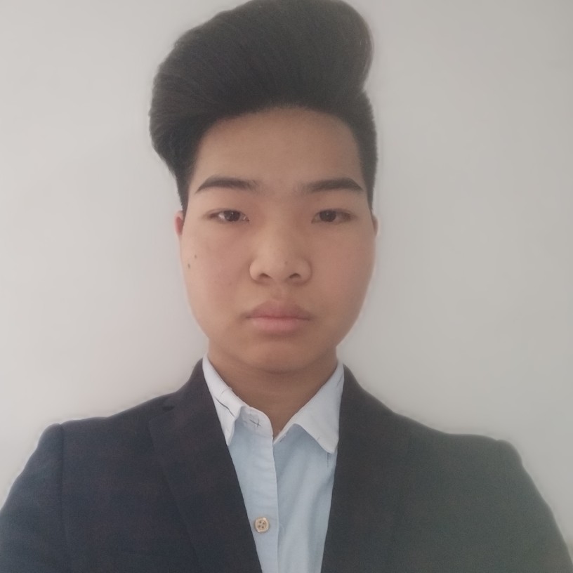 称心演变菠萝的照片