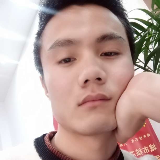『 』的照片