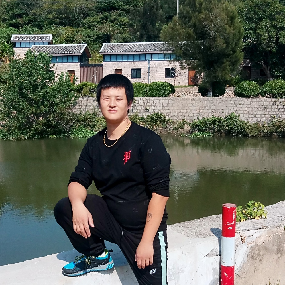 复杂小鸽子的照片