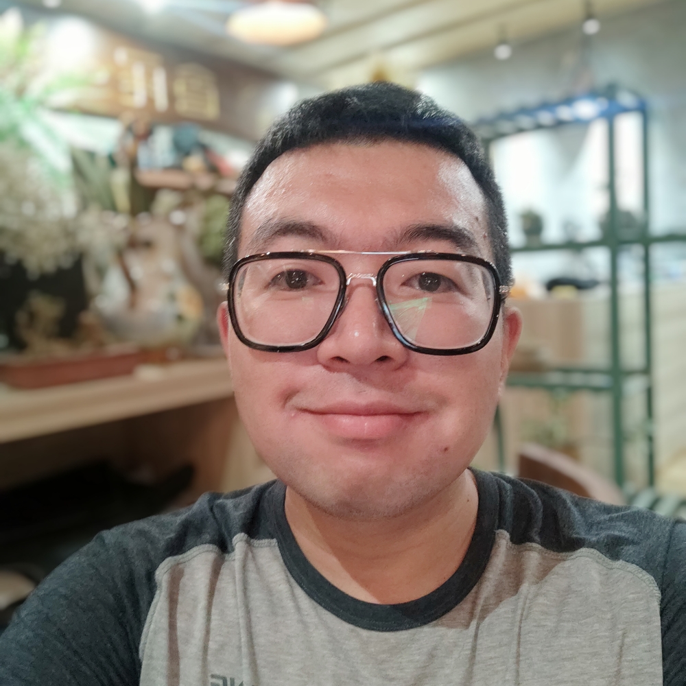 仙人掌浅吻单薄的照片