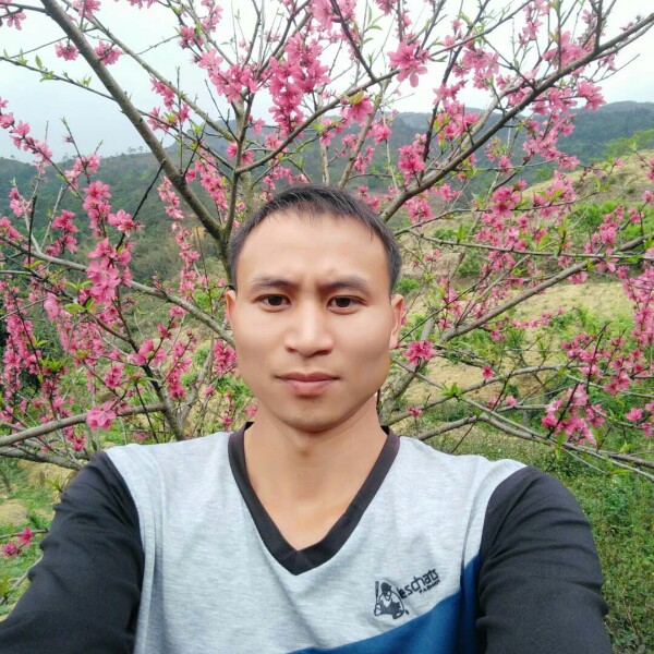 无私黑夜的照片