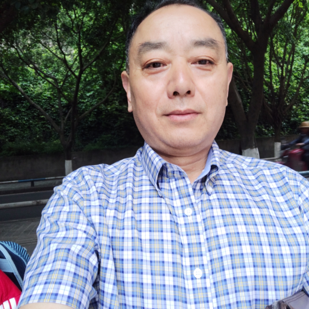 滑板阳光的照片
