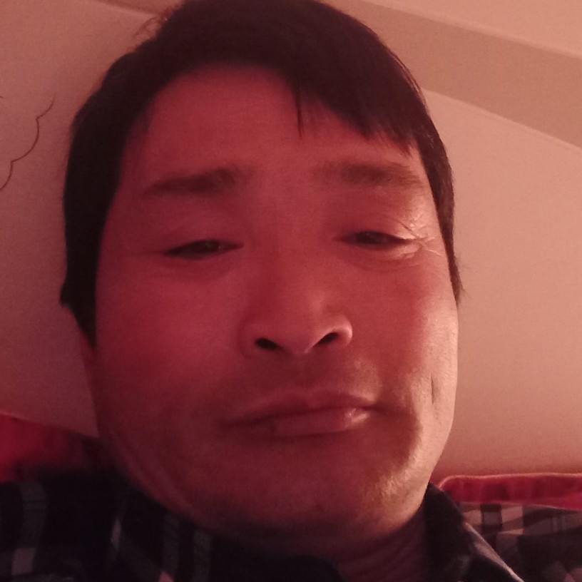 单薄鸵鸟的照片