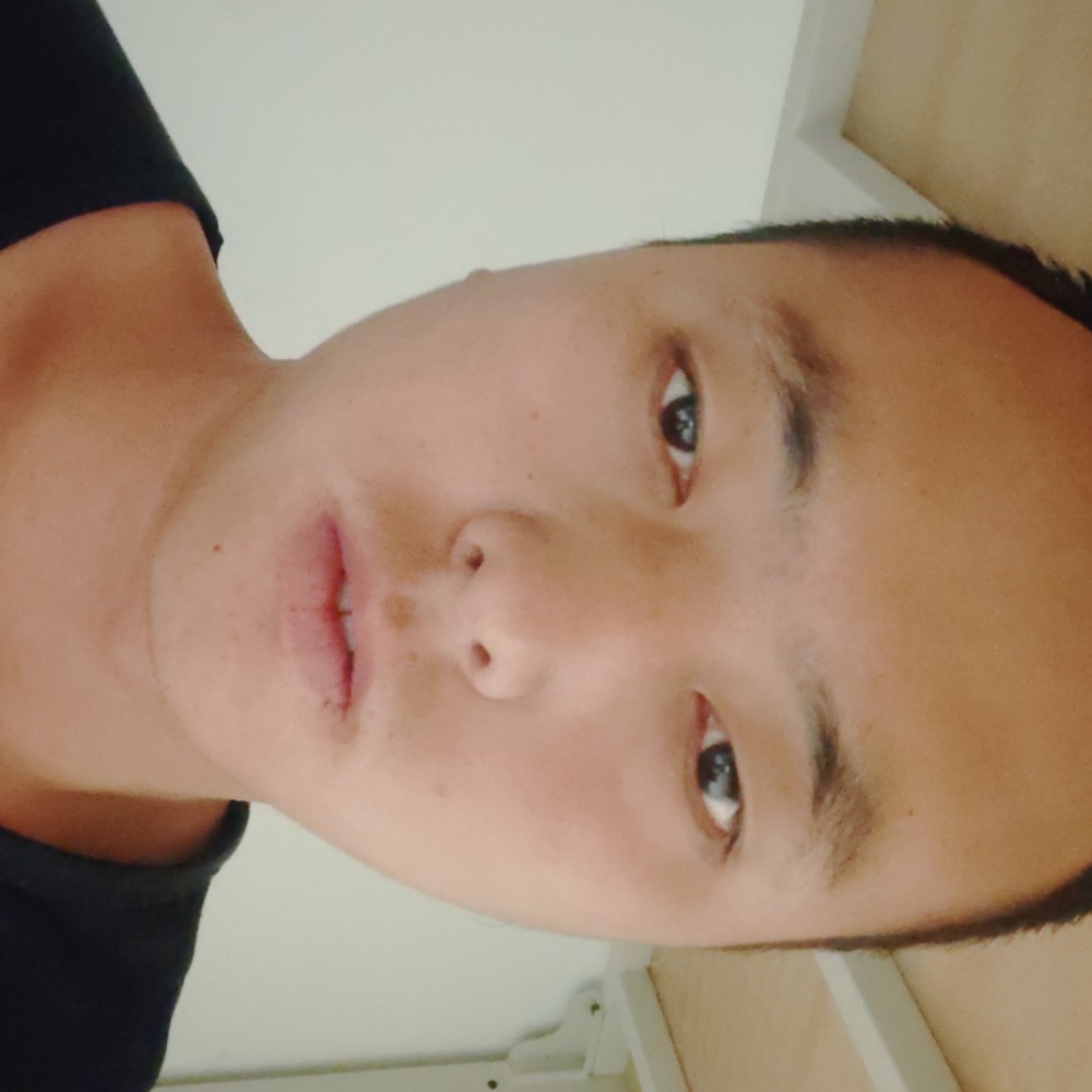 狗打内向的照片