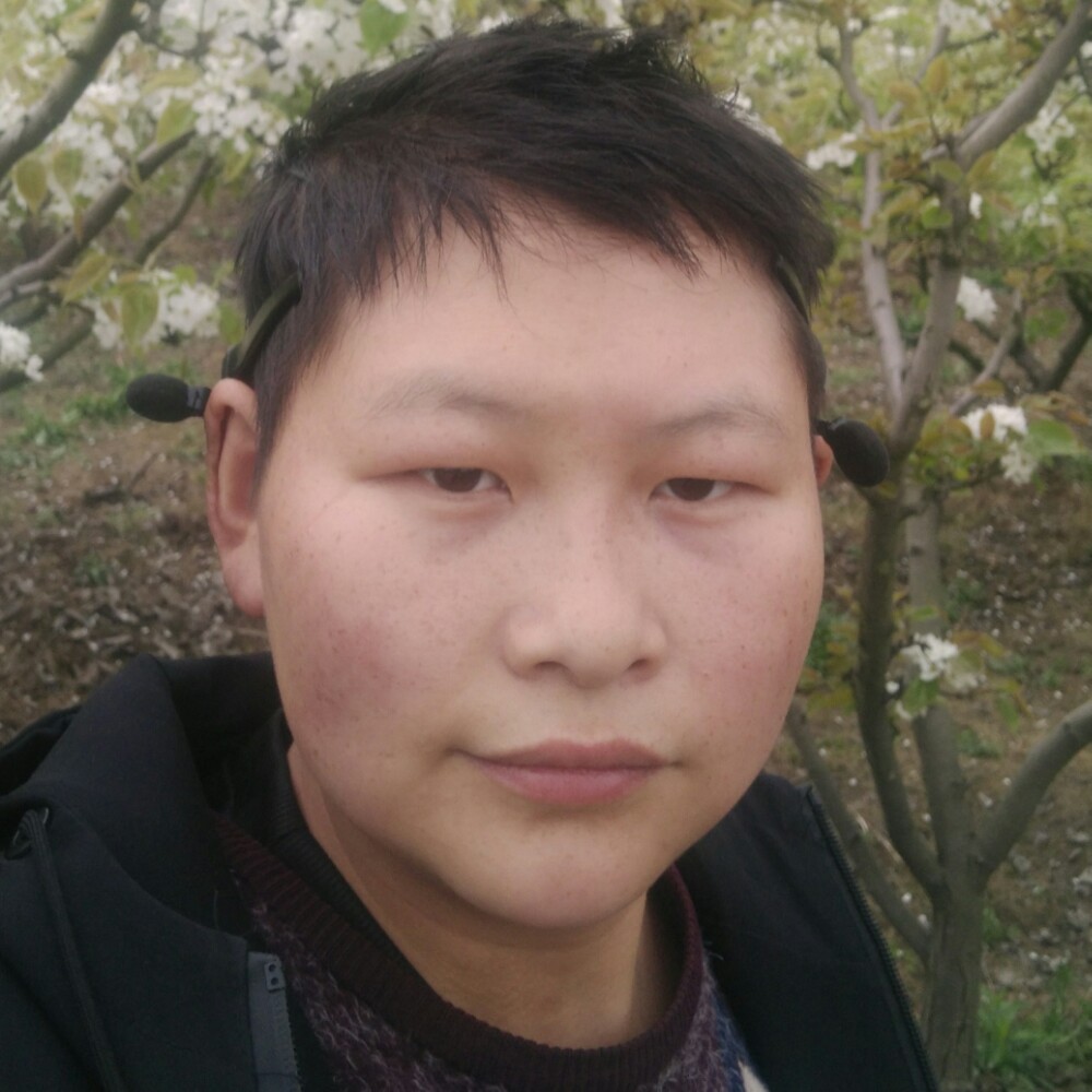 的照片