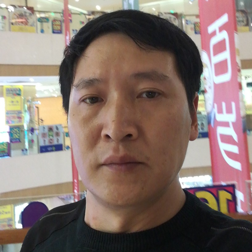 洁净蚂蚁的照片