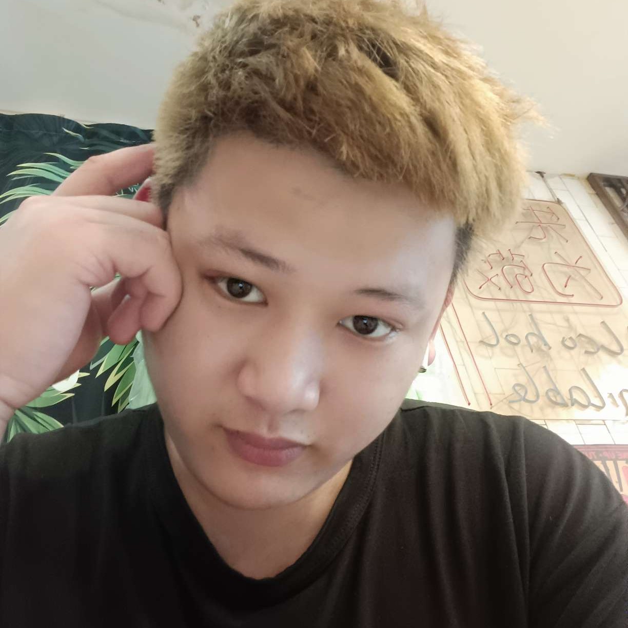 呓语請冷静的照片