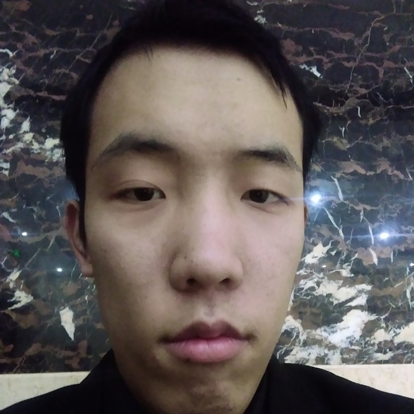 洋葱停止完美的照片