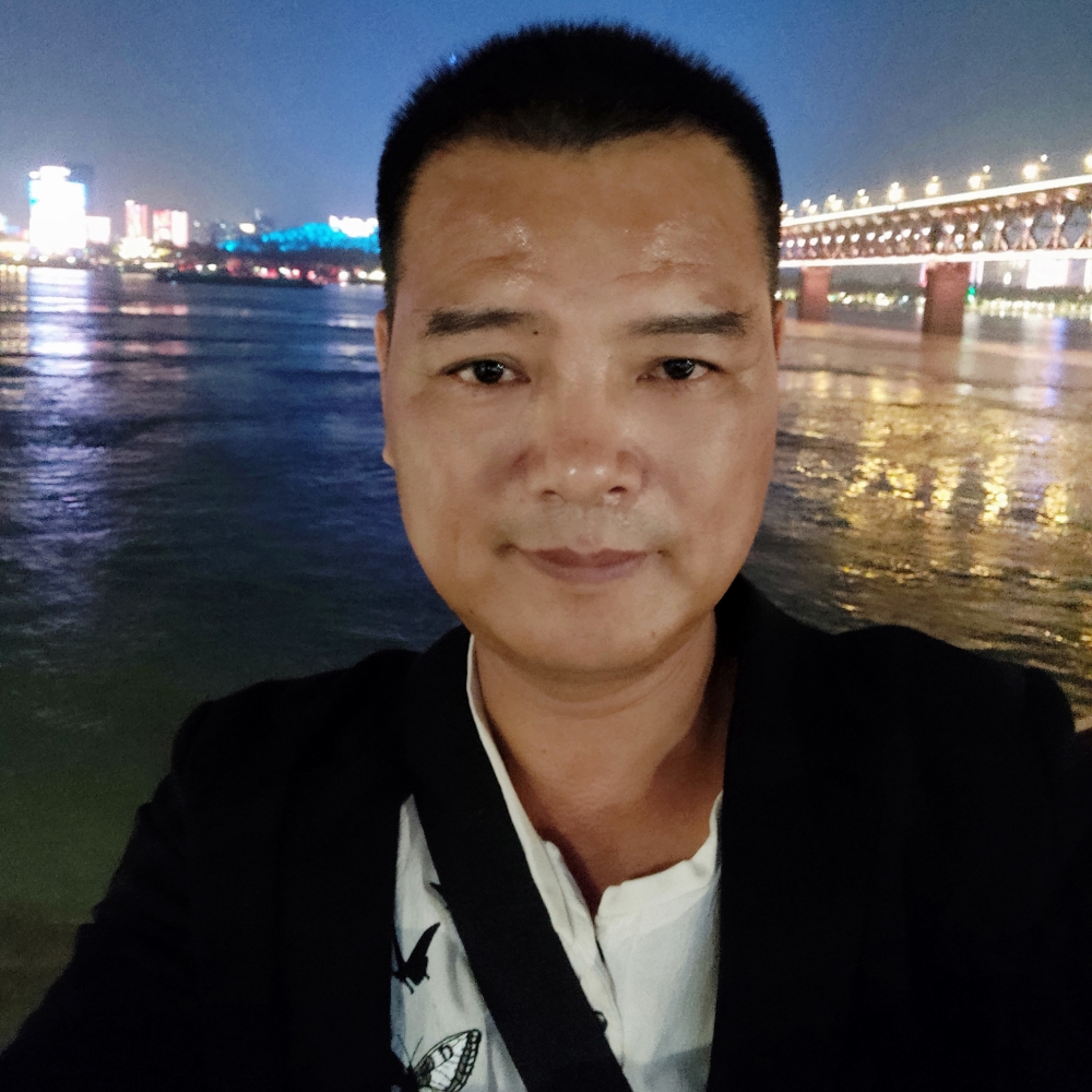 沉静停止心岛的照片