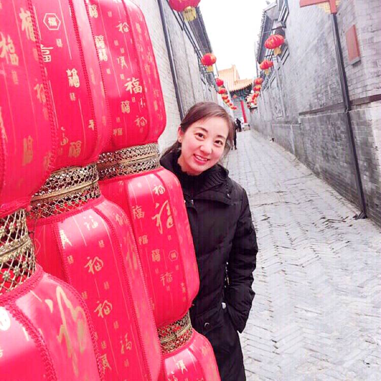 冬天里的小鸟的照片