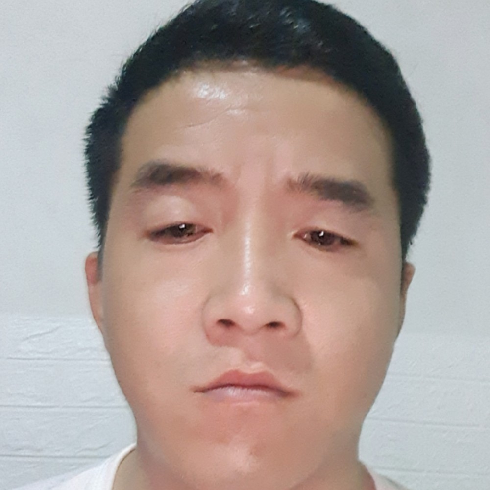 大象挽手怡然的照片