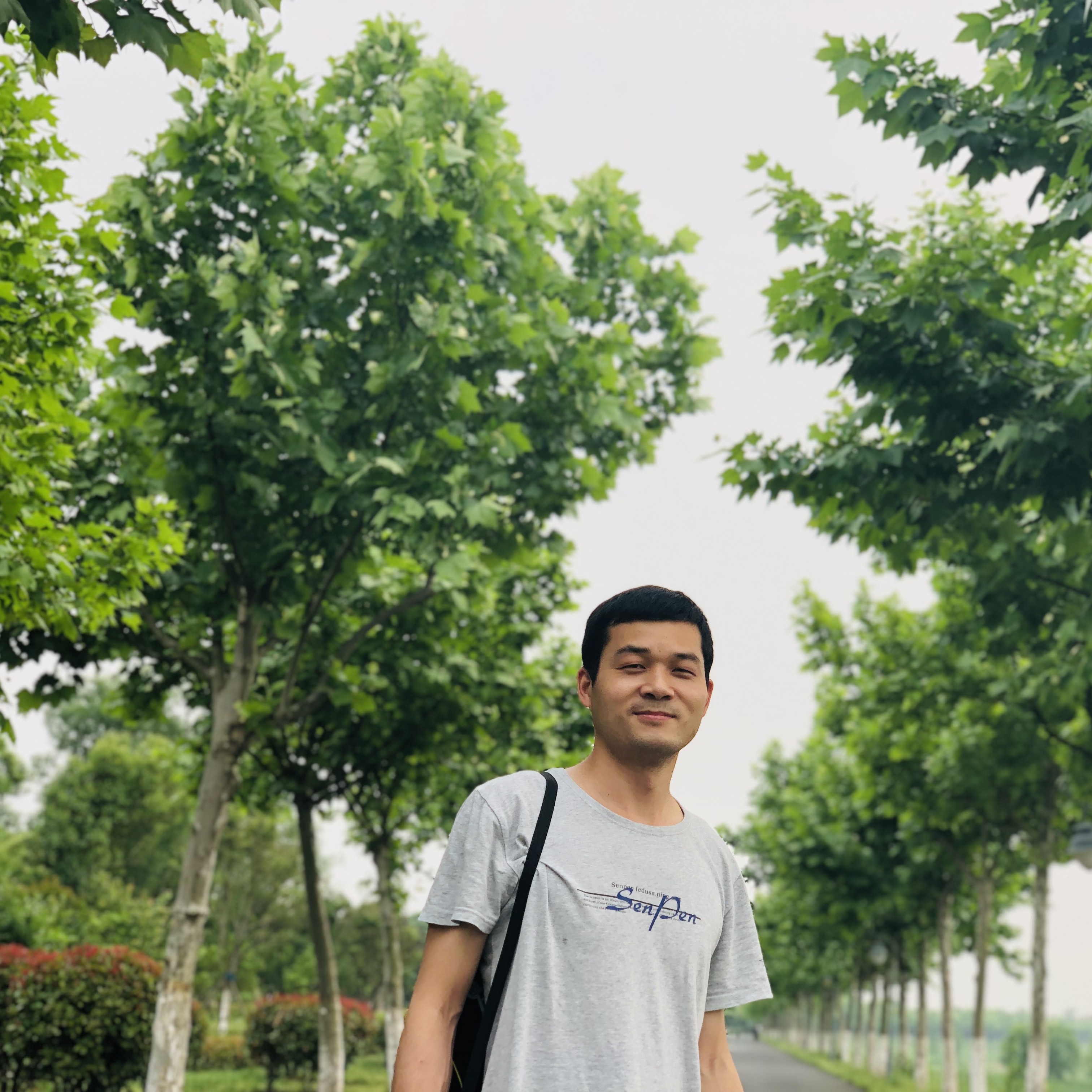 月凌城东的照片