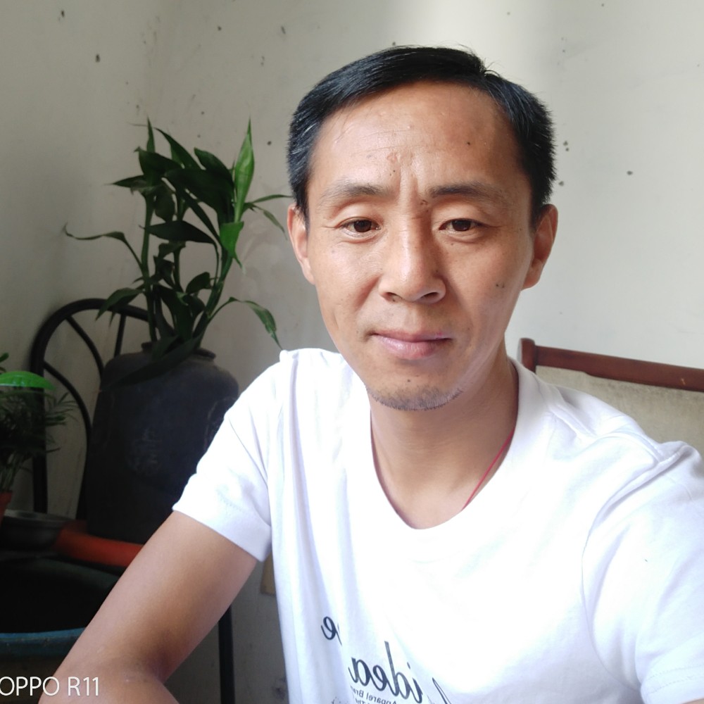 执着如泪的照片