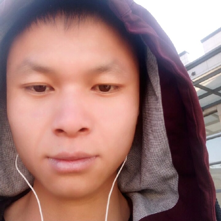 当归的照片