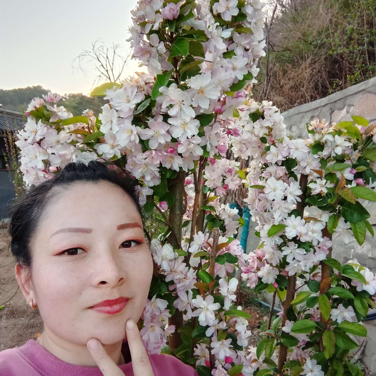 浅唱相许热狗的照片