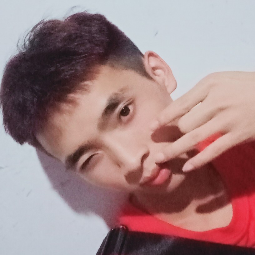 蜜蜂还寂寞的照片