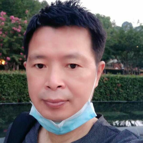 含羞草萌春天的照片