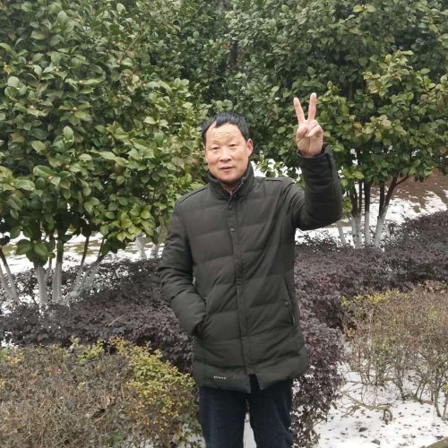 小北湖的照片