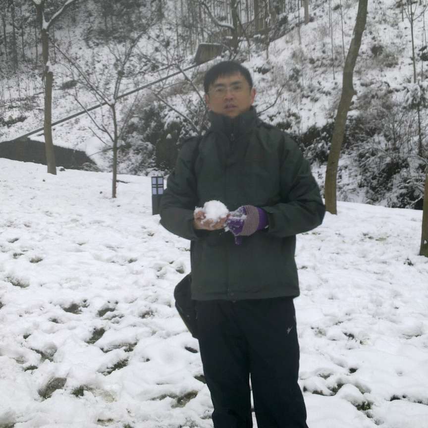飞扬的雪的照片