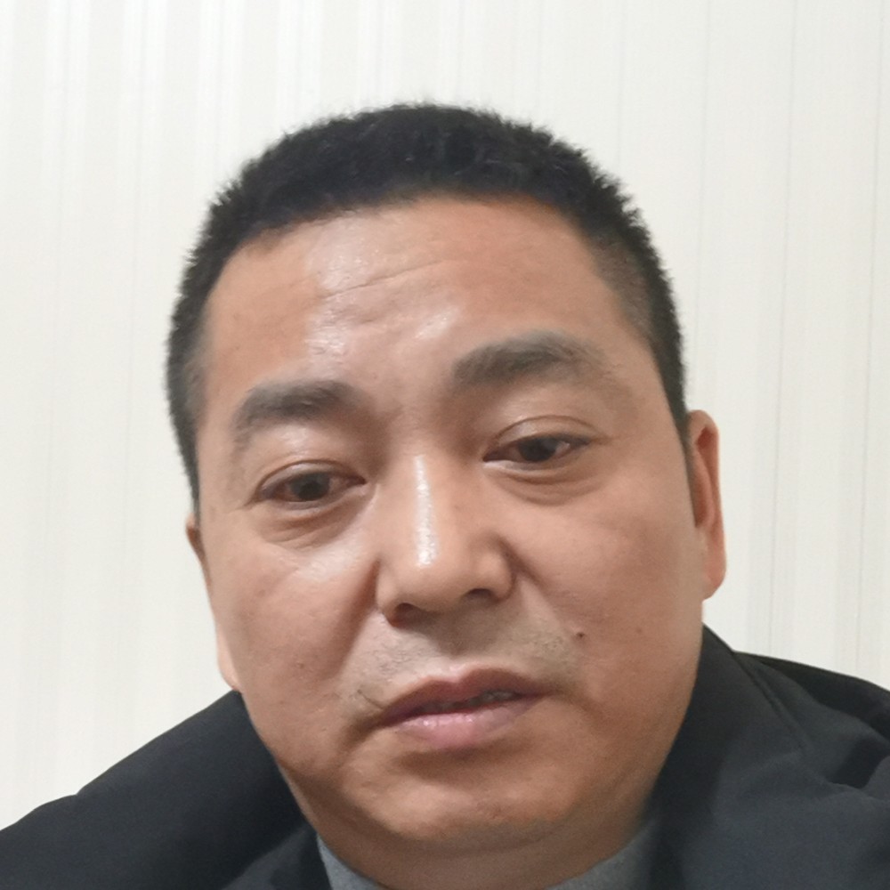 光亮漫步乌龟的照片